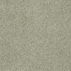 Luxury At Best in Clear Water - Carpet by Shaw Flooring