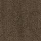 Quiet Comfort Classic II in Bison - Carpet by Shaw Flooring