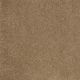 Shingle Creek IV 12' in Windmill - Carpet by Shaw Flooring