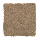 Soft Moment I in Ancient Treasure - Carpet by Mohawk Flooring