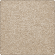 True Admiration Abac Weldlok 12 Ft 00 In in Heirloom - Carpet by Mohawk Flooring