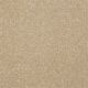 Different Times III 15 in Silk - Carpet by Shaw Flooring