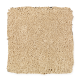Comfortable Creation II in Natural Grain - Carpet by Mohawk Flooring
