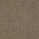 Poetic in Canyon Rock - Carpet by Shaw Flooring