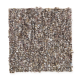 Andantino in Dark Chocolate - Carpet by Mohawk Flooring