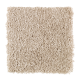 Rare Details in Shimmer - Carpet by Mohawk Flooring