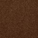 On Going II 12 in Gingerbread - Carpet by Shaw Flooring