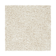 Inviting Charisma in Haven - Carpet by Mohawk Flooring