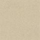 Find Your Comfort Ns II in Sun Kissed (s) - Carpet by Shaw Flooring