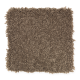 Winward Point in Wild Frontier - Carpet by Mohawk Flooring