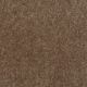 Newport in Sandpiper - Carpet by Shaw Flooring