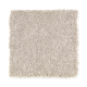 New Chapter II in Early Frost - Carpet by Mohawk Flooring