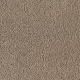 Wish Come True in Renewable Style - Carpet by Mohawk Flooring