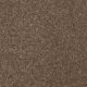 Different Times I 15 in Jute - Carpet by Shaw Flooring