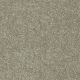 Dyersburg Classic 12' in Fossil - Carpet by Shaw Flooring