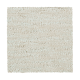 Enchanting Regard in Parchment - Carpet by Mohawk Flooring