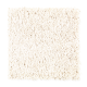 Sassy Arrangement in Grecian Column - Carpet by Mohawk Flooring