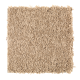 Witty Charm in Glazed Donut - Carpet by Mohawk Flooring