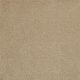 Panache in Tumbleweed - Carpet by Masland Carpets