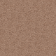 Cozy Comfort in Cedar Beige - Carpet by Mohawk Flooring