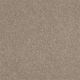 Secret Escape I 12 in Crisp Khaki - Carpet by Shaw Flooring