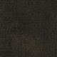 Panache in Black Forest - Carpet by Masland Carpets