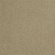 Shingle Creek III 12' in Sahara - Carpet by Shaw Flooring