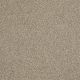Hillshire in Mr. Sandman - Carpet by Shaw Flooring