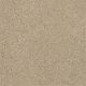 From The Heart I in Canopy - Carpet by Shaw Flooring