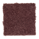 Benson Park in Baked Apple - Carpet by Mohawk Flooring