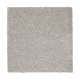 Awaited Delight in Classic Silver - Carpet by Mohawk Flooring
