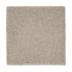 Awaited Delight in Aberdeen - Carpet by Mohawk Flooring