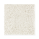 Exquisite Attraction in Fine Silk - Carpet by Mohawk Flooring