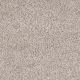 Easy Living III in Windblown - Carpet by Engineered Floors