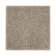 Exquisite Attraction in Plantation - Carpet by Mohawk Flooring