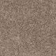 Easy Living I in Indian Sunset - Carpet by Engineered Floors