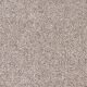 Easy Living III in Autumn - Carpet by Engineered Floors