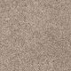 Easy Living III in Wildwood - Carpet by Engineered Floors