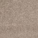 Easy Living I in Cafe Au Lait - Carpet by Engineered Floors