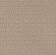 Concord in Earthy Buff - Carpet by Engineered Floors